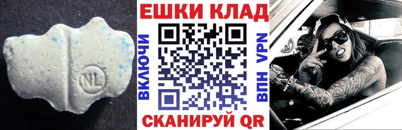 мега ссылка  Эртиль  Ecstasy Philipp Plein 