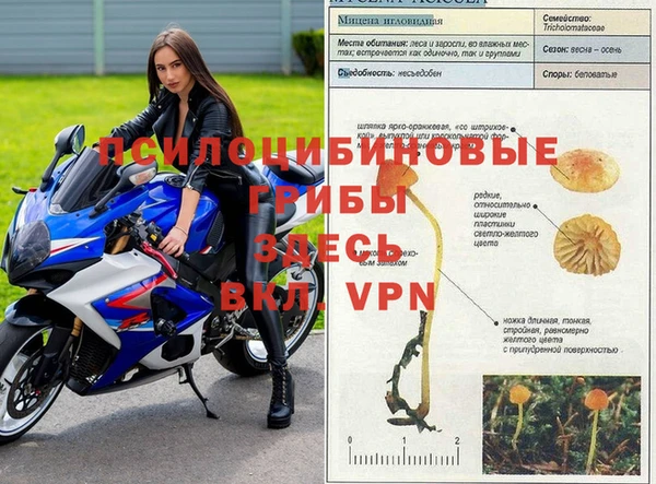 тгк Абинск