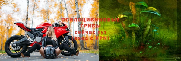 тгк Абинск