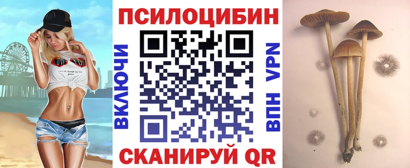 Галлюциногенные грибы мухоморы купить закладку mega ТОР Эртиль